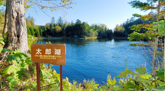 太郎湖 Lake Taro / 次郎湖 Lake Jiro